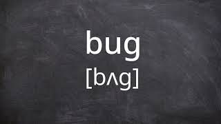 BUG Pronunciation in American English [upl. by Esinert]