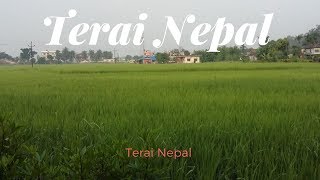 Terai Region of Nepal [upl. by Eachelle552]