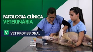 Patologia Clínica Veterinária l VET Profissional [upl. by Weatherley136]