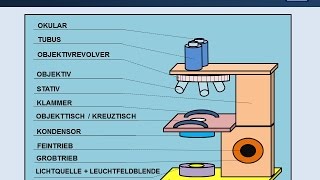 Lichtmikroskop Aufbau amp Funktion  mit Erklärungen [upl. by Solracnauj]