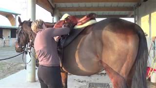 Comment je prépare un cheval intégralement avant un cours [upl. by Elem]