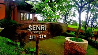 বান্দরবান  সাইরু হিল রিসোর্ট  Bandarban Tour Part2  Sairu Hill Resort  Nichodim Palna [upl. by Mehetabel404]