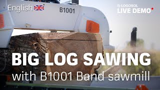 Big log sawing with B1001 Band Sawmill  LOGOSOL LIVE [upl. by Dagna]