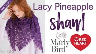 How to Crochet Lacy Pineapple Shawl Part 1 of 2 [upl. by Ripley]