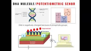 Lec 1 Introduction to Biosensors [upl. by Jameson]