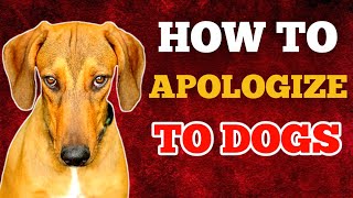 How to Apologize to Your Dog  6 Effective Ways to Earn Their Forgiveness [upl. by Esinej]