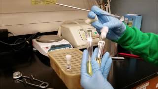 How to Properly Inoculate from Broth to Broth Broth to Slant and Broth to Plate TSB NAS NAP [upl. by Derraj]