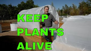 Keep Your Plants Alive in Cold Weather [upl. by Reddin]