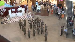 Flash mob  4th Infantry Division „Gemina” Military Band [upl. by Lahsiv]