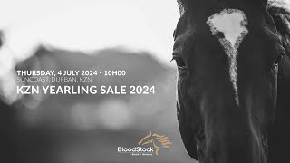 KZN YEARLING SALE 2024 [upl. by Alol]