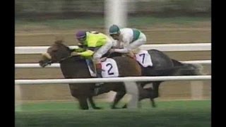 1995 Turf Classic Invitational Stakes  Turk Passer [upl. by Schenck]