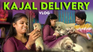 KAJAL became MOM😢 Delivery Vlog ❤️ [upl. by Aeniah52]