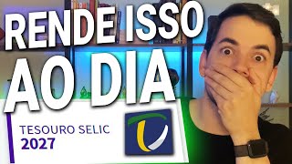 QUANTO RENDE POR DIA O TESOURO SELIC RENTABILIDADE DO TESOURO SELIC [upl. by Delaine690]