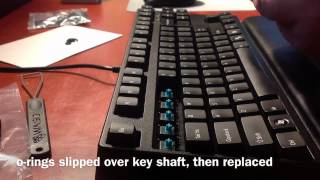 Majestouch Cherry MX Blue Switches versus IBM Model M Buckling Spring [upl. by Ennovy]