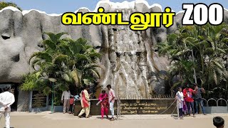 VANDALUR ZOO 2021 Arignar Anna Zoological park vandalur chennai zoo [upl. by Enra]