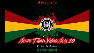 Dj Summer TZ  More Than Vibes Mix 10 DanceHallParty Ft Mavado Sean Paul Beenie Man Busy Signal TOK [upl. by Sitarski]