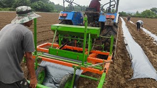 New farming tule for agriculture automatic Plowed and mulch machine [upl. by Mairim723]