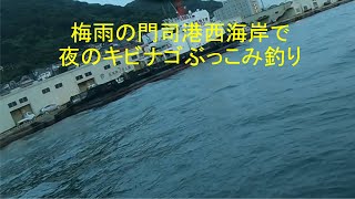 【門司港】夜のキビナゴぶっこみ釣り【西海岸】 [upl. by Sid]