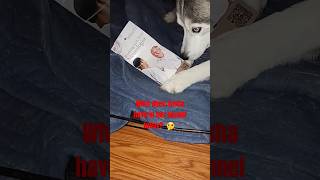 a neurology pamphlet music hiphop underground dog husky funny neurology [upl. by Eicart]