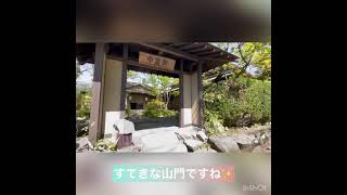 湯布院 和の宿 狭霧亭へ行ってみました！ [upl. by Ykcaj]