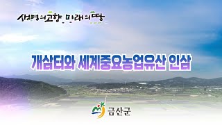 금산의 10경을 눈에 담다  개삼터와 세계중요농업유산 인삼편 [upl. by Enerak]