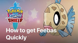 How to get Feebas quickly with few encounters  Feebas Pokemon Sword and Shield Location [upl. by Alo]