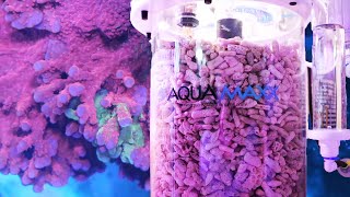 Big Upgrade  300 Gallon SPS Reef Tank  Aquamaxx CTech T3 Calcium Reactor [upl. by Gianina]