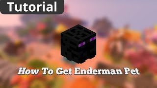 How To Get ENDERMAN PET in Hypixel Skyblock [upl. by Mccollum]