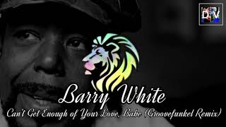 Barry White  Cant Get Enough of Your Love Babe Groovefunkel Remix [upl. by Stegman]