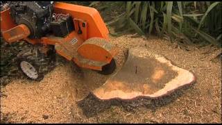 Stump Humper Stump Grinder [upl. by Hayilaa]