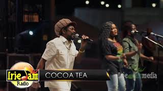 Cocoa Tea quotLivequot  Reggae Under The Stars NYC  Labor Day Weekend 2017 [upl. by Ahsekahs843]