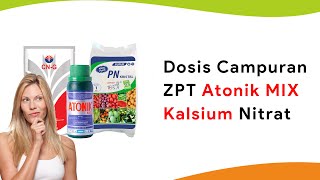 Dosis Zpt Atonik Masa Buah Mix Kalsium Nitrat [upl. by Tadeo]