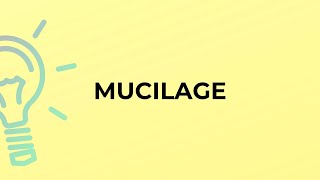 What is the meaning of the word MUCILAGE [upl. by Letram]