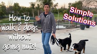 How to successfully walk more than one dog [upl. by Noir]