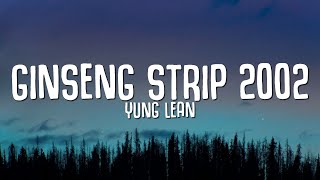 Yung Lean  Ginseng Strip 2002 Lyrics quotbitches come and go brahquot TikTok Song [upl. by Kared]