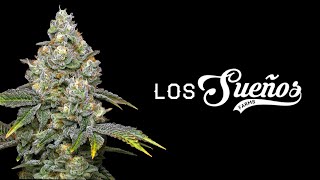 One of the Worlds Biggest Outdoor Cannabis Farm Canna Cribs Episode 4  Los Sueños Farms [upl. by Toms]