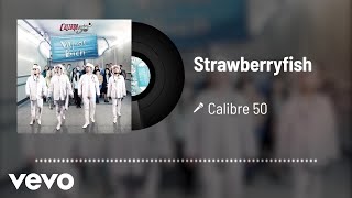 Calibre 50  Strawberryfish Audio [upl. by Pillyhp206]