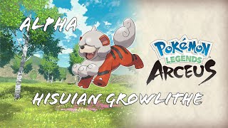 Alpha Hisuian GROWLITHE Arcanine  Location Pokémon Legends Arceus [upl. by Mufinella]