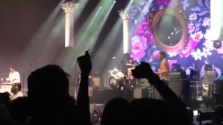 Vampire weekend performs quotOxford commaquot in Phoenix [upl. by Gustaf814]