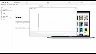 How to add Songs and playlist to apple iTunes [upl. by Garris848]