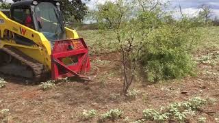 Skid Steer with GRUB N GRADE grubber attachment [upl. by Assirk]