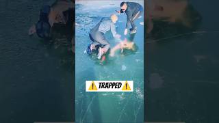 Diver TRAPPED Under Ice [upl. by Irreg]