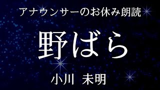 【睡眠導入】アナウンサーの眠れる朗読小川未明「野ばら」元NHKフリーアナウンサー島永吏子 [upl. by Suilenroc]