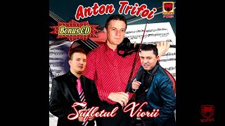 Anton Trifoi  Joc tiganesc [upl. by Oinotnas419]