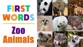 Learning Zoo Animals Names for Children  First Words for Toddlers Babies Kindergarten Kids [upl. by Plusch]