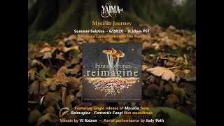 Mycelia Journey  YAIMA MUSIC  Concert from the Forests of Pacific Northwest [upl. by Tomi]