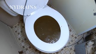 Clogged Drain 107 [upl. by Elleret822]