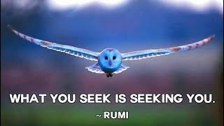 Rumi  𝐈𝐧𝐭𝐨 𝐄𝐭𝐞𝐫𝐧𝐢𝐭𝐲  Sufi Mysticism [upl. by Onaicul]