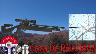 Cacería De Palomas Con Rifle De Aire PCP [upl. by Imnubulo]