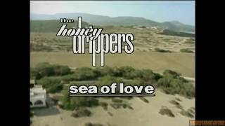 The Honeydrippers Sea Of Love [upl. by Greenwood]